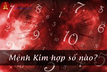 Khám Phá Bí Mật: Mệnh Kim Hợp Số Nào Để Tài Lộc, Công Danh Viên Mãn?