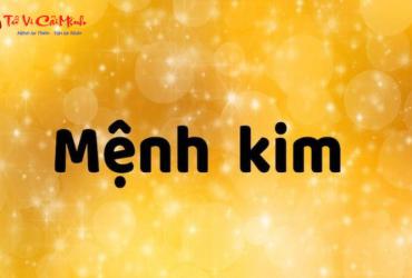 Người Mệnh Kim Nên Chọn Điện Thoại Màu Nào Để Thu Hút Tài Lộc Và May Mắn?