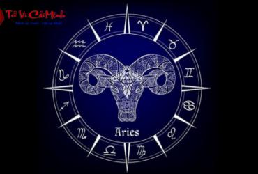 Tính Cách Cung Ma Kết: Khám Phá Sâu Sắc Về Người Ma Kết