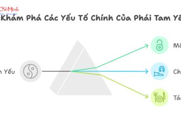 Phái Tam Yếu - Nghệ Thuật Phong Thủy Dựa Trên Ba Yếu Tố Cốt Lõi