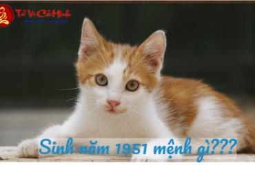 Sinh năm 1951 mệnh gì? Tìm hiểu chi tiết về người tuổi Tân Mão