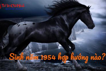 Sinh năm 1954 hợp hướng nào? Bí quyết chọn hướng phong thủy chuẩn xác