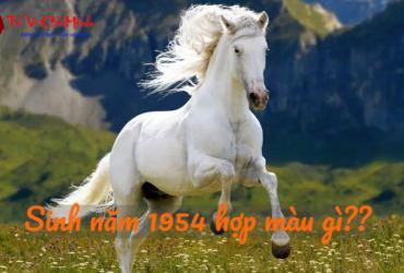 Sinh năm 1954 hợp màu gì? Phân tích chi tiết màu sắc phong thủy cho tuổi Giáp Ngọ