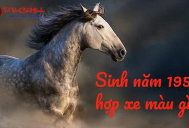 Sinh năm 1954 mua xe màu gì? - Phân tích phong thủy toàn diện