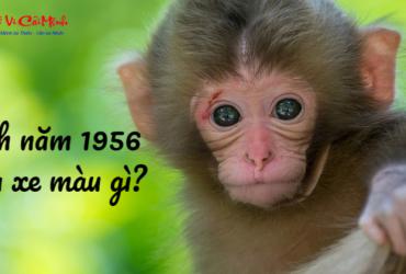 Sinh năm 1956 mua xe màu gì? Lựa chọn màu xe hợp mệnh Hỏa