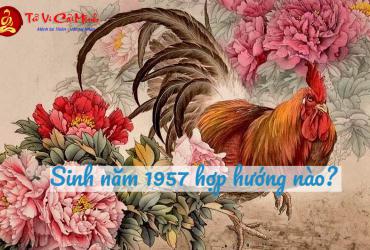 Sinh năm 1957 hợp hướng nào?