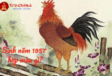 Bí Mật Màu Sắc Mang Lại Tài Lộc Cho Người Sinh Năm 1957 - Bạn Đã Biết?