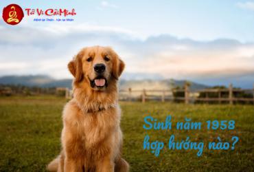 Sinh năm 1958 hợp hướng nào?