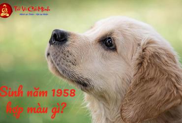 Sinh năm 1958 hợp màu gì? Màu sắc phong thủy cho người tuổi Mậu Tuất