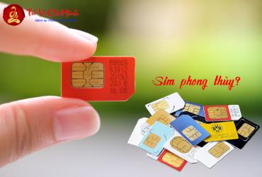 Bí Mật Số Phong Thủy: Người Sinh Năm 1958 Hợp Số Mấy, Sim Số Nào Mang Lại Tài Lộc?