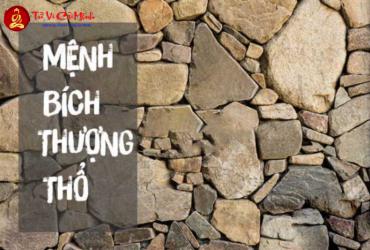 Sinh năm 1961 hợp màu gì? Khám phá bảng màu chuẩn phong thủy cho tuổi Tân Sửu