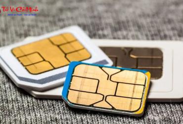 Khám Phá Bí Mật: Người Sinh Năm 1961 Hợp Số Nào và Sim Phong Thủy Mang Lại Tài Lộc?