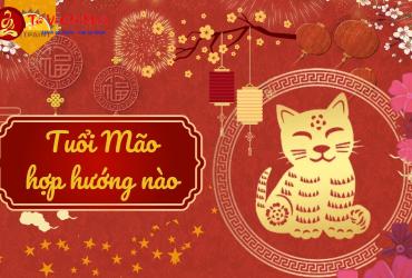 Sinh năm 1963 hợp hướng nào? Giải đáp chi tiết theo phong thủy Bát Trạch