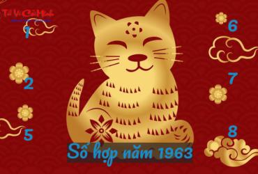 Sinh Năm 1963 Hợp Số Nào Nhất? Khám Phá Ngay Để Kích Hoạt Tài Lộc Và Vận May!