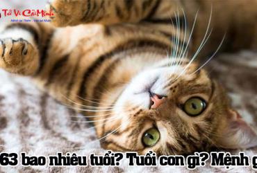 Sinh năm 1963 mệnh gì? - Phân tích chi tiết về mệnh Kim Bạch Kim