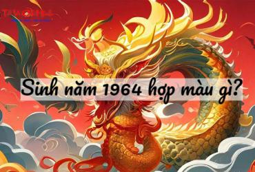 Sinh Năm 1964 Hợp Màu Gì? Hướng Dẫn Chi Tiết Cho Tuổi Giáp Thìn