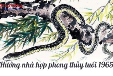 Sinh năm 1965 hợp hướng nào?