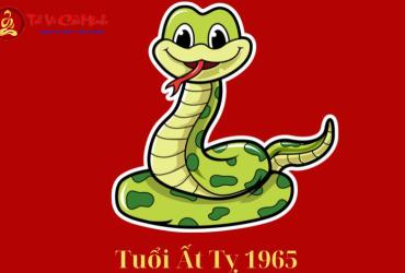 Sinh năm 1965 hợp màu gì? Màu sắc lý tưởng cho người tuổi Ất Tỵ