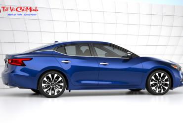 Sinh năm 1966 mua xe màu gì? Chọn màu xe hợp phong thủy cho tuổi Bính Ngọ