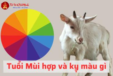 Sinh năm 1967 hợp màu gì? Màu sắc phong thủy cho tuổi Đinh Mùi