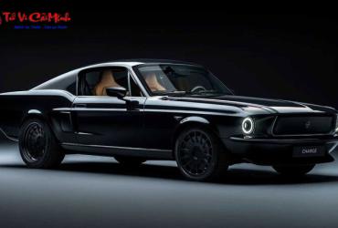 Sinh năm 1967 mua xe màu gì? Phân tích chi tiết màu xe hợp phong thủy cho tuổi Đinh Mùi