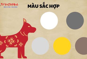 Khám Phá Bí Mật Màu Sắc Phong Thủy: Sinh Năm 1970 Hợp Màu Gì Để Tăng Tài Lộc?