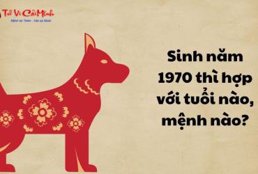 Sinh năm 1970 mệnh gì? Khám phá đầy đủ về người tuổi Canh Tuất