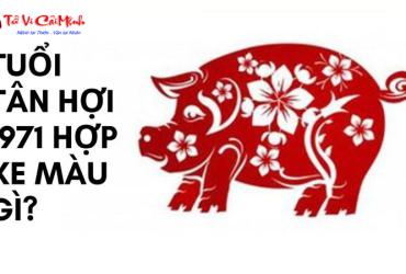 Sinh năm 1971 mua xe màu gì? - Lựa chọn màu xe hợp phong thủy