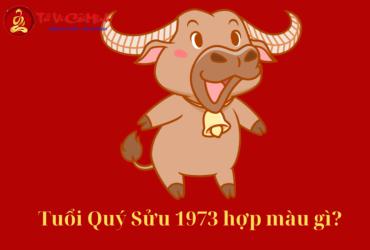 Sinh năm 1973 hợp màu gì? Bí quyết chọn màu sắc may mắn cho người tuổi Quý Sửu