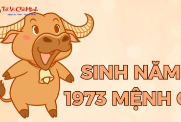 Sinh năm 1973 mệnh gì? Phân tích chi tiết về mệnh Tang Đố Mộc