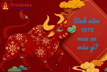 Sinh năm 1973 mua xe màu gì? Hướng dẫn đầy đủ theo phong thủy