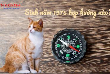 Sinh năm 1975 hợp hướng nào? Phân tích chi tiết theo phong thủy