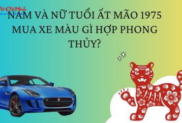Sinh năm 1975 mua xe màu gì? Hướng dẫn toàn diện về màu xe hợp phong thủy