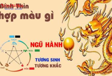 Sinh năm 1976 hợp màu gì? Bí quyết chọn màu phong thủy cho tuổi Bính Thìn