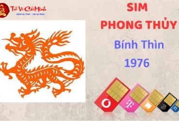 Sinh Năm 1976 Hợp Số Mấy? Lựa Chọn Sim Phong Thủy Giúp Thay Đổi Vận Mệnh