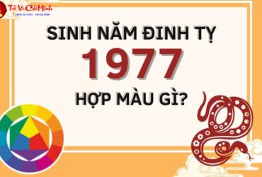 Sinh năm 1977 hợp màu gì? Phân tích chi tiết về màu sắc hợp tuổi Đinh Tỵ
