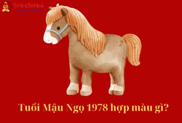 Sinh Năm 1978 Hợp Màu Gì? Bí Mật Phong Thủy Giúp Mệnh Hỏa Thịnh Vượng!