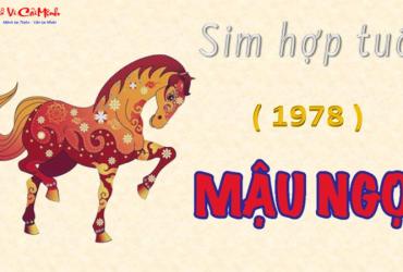 Khám Phá Bí Mật: Người Sinh Năm 1978 Hợp Số Nào Để Hút Tài Lộc và May Mắn?