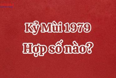 Sinh Năm 1979 Hợp Số Mấy? Bí Mật Phong Thủy Giúp Tuổi Kỷ Mùi Bứt Phá Tài Lộc!