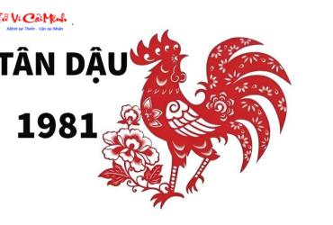 Sinh năm 1981 hợp màu gì? Giải mã màu sắc phong thủy cho tuổi Tân Dậu