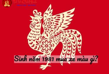 Sinh năm 1981 mua xe màu gì?