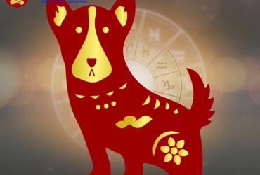 Sinh năm 1982 hợp màu gì? Bật mí màu sắc phong thủy cho tuổi Nhâm Tuất