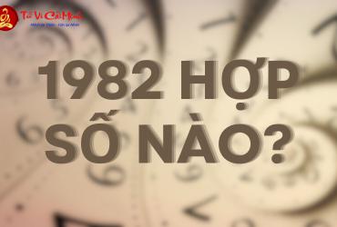 Sinh Năm 1982 Hợp Số Mấy? Khám Phá Sim Phong Thủy Kích Tài Lộc Cho Nhâm Tuất