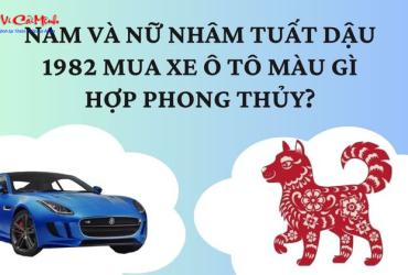 Sinh năm 1982 mua xe màu gì?