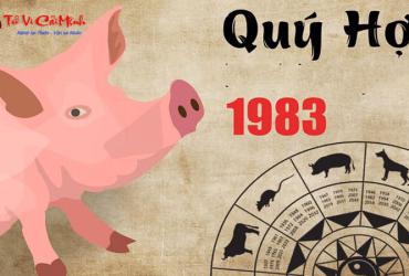 Khám Phá Bí Mật Con Số May Mắn và Sim Phong Thủy Đổi Vận Cho Người Sinh Năm 1983