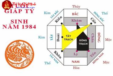 Sinh năm 1984 hợp hướng nào? Phân tích chi tiết theo phong thủy
