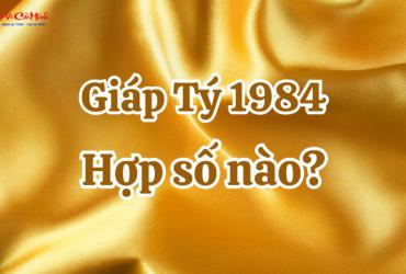 Giải Mã Bí Ẩn Con Số Hợp Tuổi 1984: Cách Chọn Sim Phong Thủy Tăng Tài Lộc Ngay Hôm Nay!