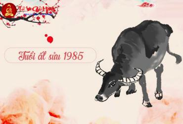 Hướng bàn làm việc cho người sinh năm 1985 (Ất Sửu) theo phong thủy Bát Trạch