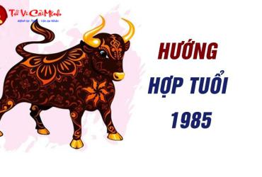Hướng Kê Giường Ngủ Cho Người Sinh Năm 1985 (Ất Sửu) - Tăng Cường Vận Khí & Sức Khỏe
