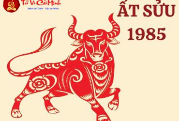 Sinh năm 1985 hợp màu gì? Phân tích chi tiết màu sắc may mắn cho tuổi Ất Sửu